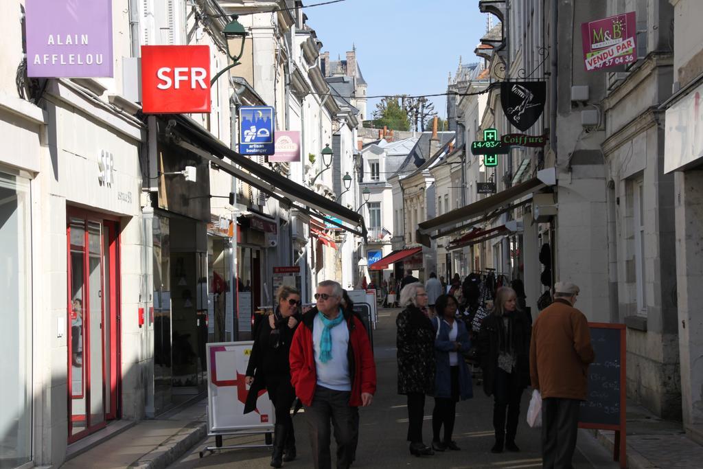 Sur Les Toits D'Amboise Apartment Luaran gambar