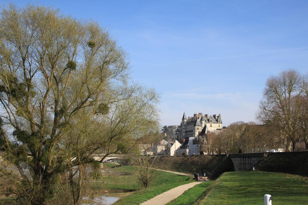 Sur Les Toits D'Amboise Apartment Luaran gambar