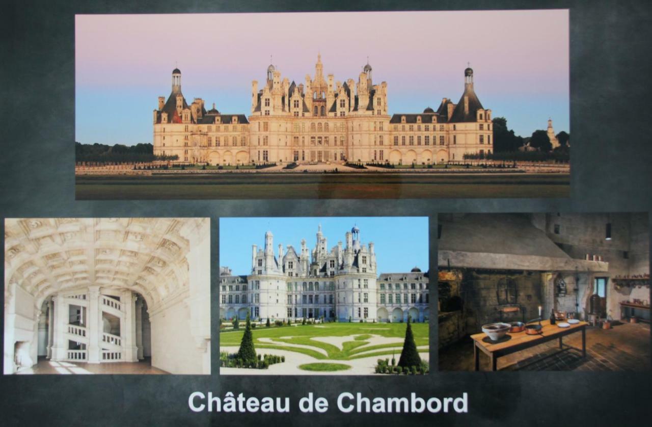 Sur Les Toits D'Amboise Apartment Luaran gambar