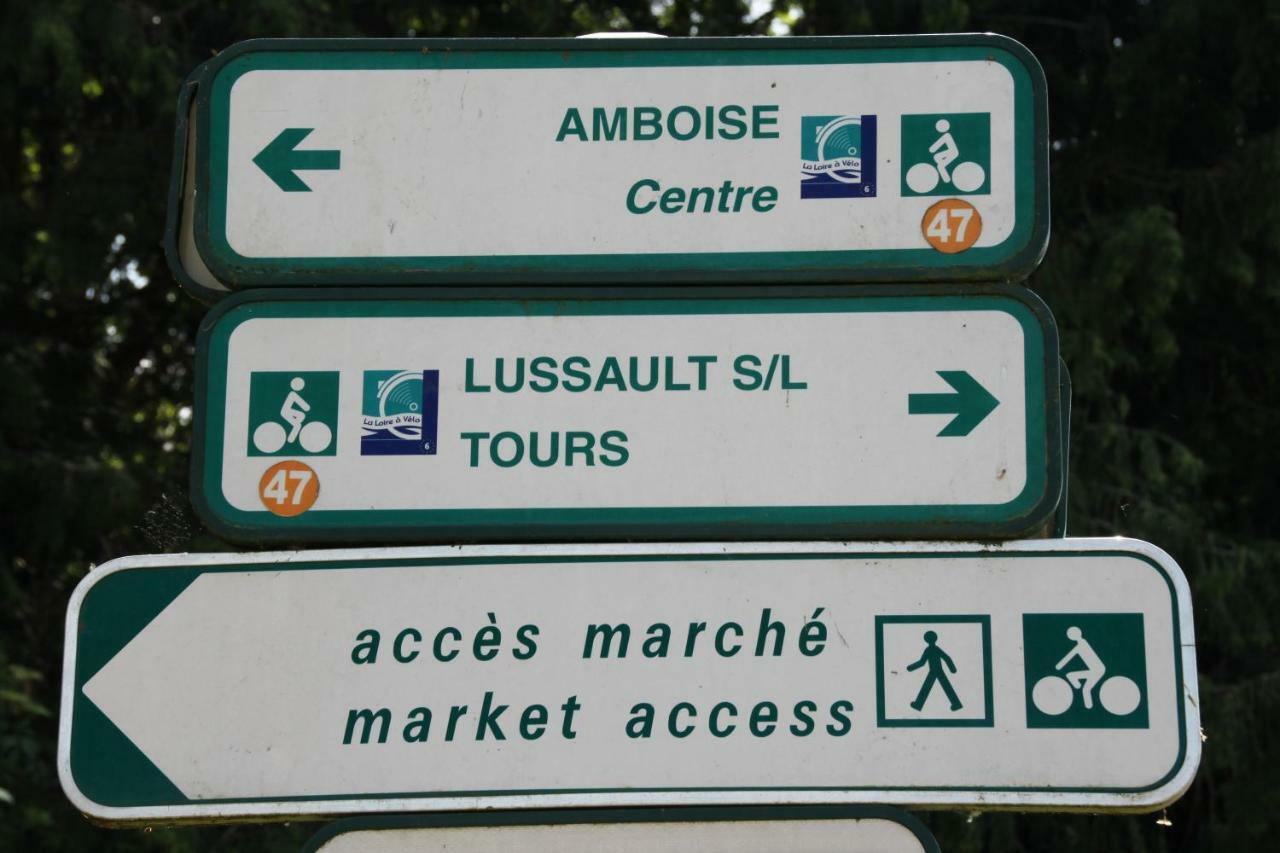 Sur Les Toits D'Amboise Apartment Luaran gambar