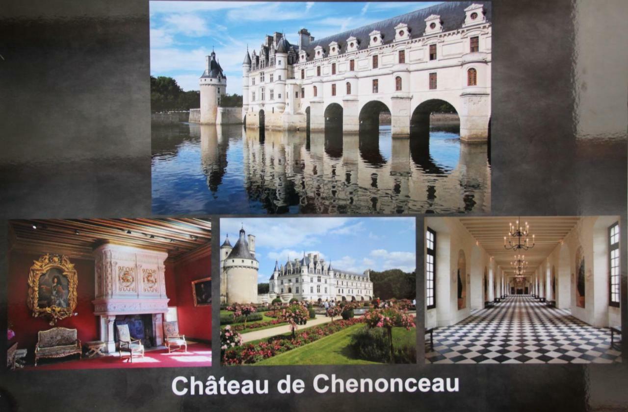 Sur Les Toits D'Amboise Apartment Luaran gambar